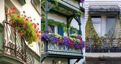10 Best Plants for a Juliet Balcony - balconygardenweb.com - France