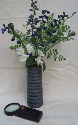 In a Vase on Monday: Abundantly Clear - ramblinginthegarden.wordpress.com