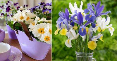 3 Best February Birth Month Flowers - balconygardenweb.com - Greece - state Florida - state Maine