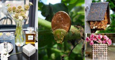 18 Surprising Penny Uses for Home and Garden - balconygardenweb.com