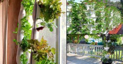 16 DIY Hydroponic Vertical Garden Ideas To Grow Food - balconygardenweb.com