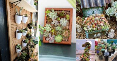 38 Modern Indoor Succulent Garden Ideas - balconygardenweb.com