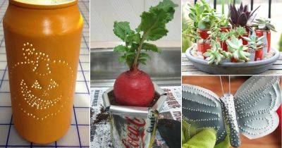 12 Nifty Soda Can DIY Ideas And Uses For The Garden - balconygardenweb.com