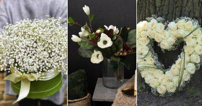 17 White Flowers For Funeral | White Sympathy Flowers - balconygardenweb.com
