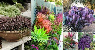 34 Beautiful Landscaping with Purple Plants Ideas - balconygardenweb.com