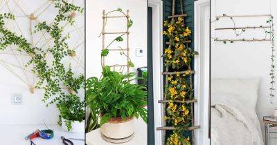 20 Stylish DIY Ladder and Trellis Ideas for Houseplants - balconygardenweb.com
