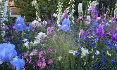 A Muted Chelsea Flower Show of Dusky Shades and Contrasting Textures - blog.theenduringgardener.com