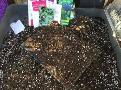 Seed Sowing Successes - blog.theenduringgardener.com