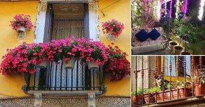 47 Instagram Balcony Gardens For Every Balcony Gardener - balconygardenweb.com