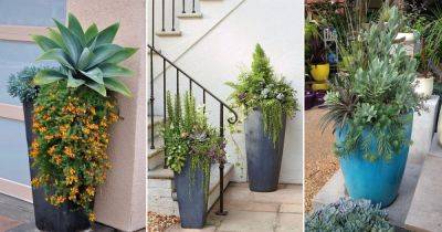 11 Spiller Filler Thriller Succulent Planter Ideas - balconygardenweb.com