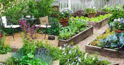How to Create a Great Garden in Small Space - balconygardenweb.com