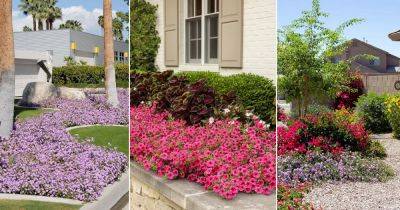 13 Beautiful Lantana as Ground Cover Ideas - balconygardenweb.com