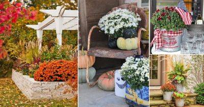 16 Ways to Decorate with Mums | Landscaping with Mums Ideas - balconygardenweb.com