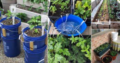 23 DIY Garden Watering Aid | Watering Systems You Can Create for Garden - balconygardenweb.com
