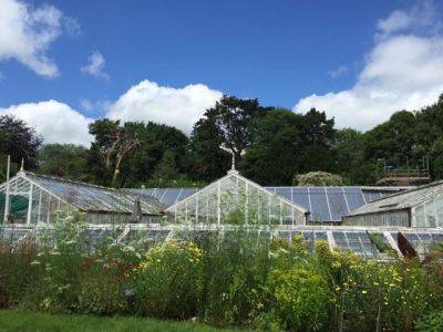 The Walled Nursery at Hawkhurst - blog.theenduringgardener.com