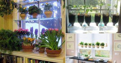 16 DIY Indoor Window Garden Ideas For Urban Gardeners - balconygardenweb.com