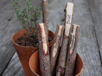 3 Simple Garden Hacks - blog.theenduringgardener.com