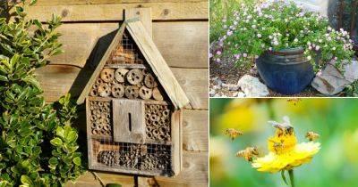 How to Attract Bees to Your Garden | Bee Garden Ideas - balconygardenweb.com