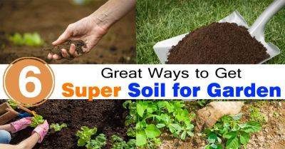6 Great Ways To Get Super Soil For Garden - balconygardenweb.com