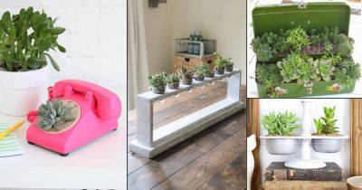 30 Best Indoor Succulent Planting Ideas That Can Beautify Your Home - balconygardenweb.com