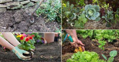 16 Time Wasting Garden Activities Not Worth Doing - balconygardenweb.com