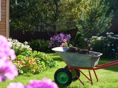 How To Improve Garden Soil Around Established Plants - gardeningknowhow.com