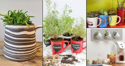 22 Adorable DIY Coffee Mug Planter Ideas - balconygardenweb.com