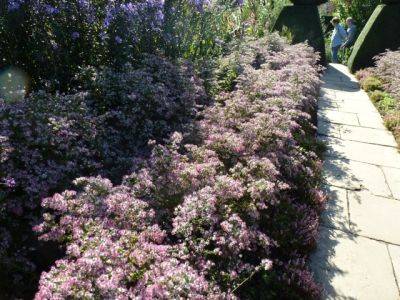 Autumn Glory at Great Dixter - blog.theenduringgardener.com - Britain