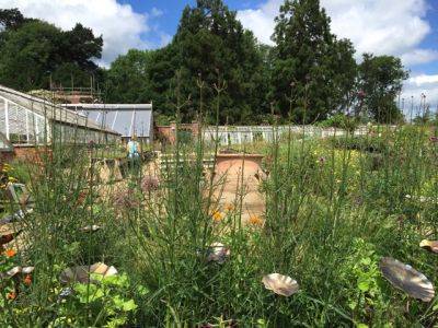 Brilliant News from The Walled Nursery at Hawkhurst - blog.theenduringgardener.com