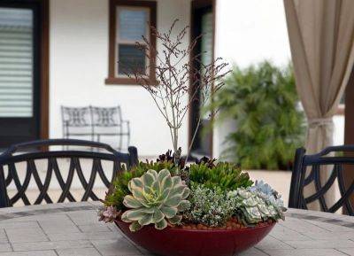 How to Make a Succulent Dish Garden | Step by Step Tutorial - balconygardenweb.com