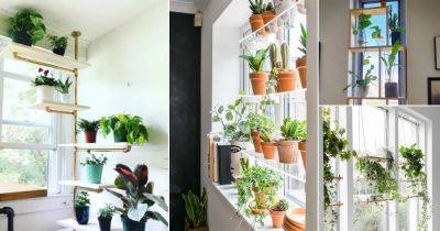 26 Practical Indoor Window Shelf Ideas for Plants - balconygardenweb.com