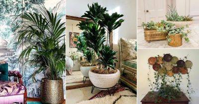 30 Pictures of Houseplants With Vintage Style Décor - balconygardenweb.com - France