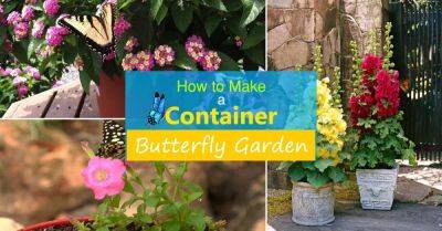 How to Make a Butterfly Container Garden | Making a Butterfly Garden - balconygardenweb.com