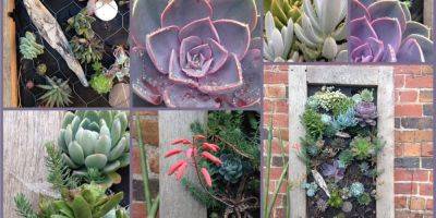 How to Make a Succulent Wall Planter - blog.theenduringgardener.com