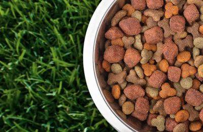 How To Use Dog Food As Fertilizer | Steps & Recipe - balconygardenweb.com