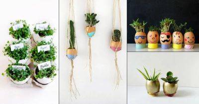 18 DIY Eggshell Ideas for Gardeners | Easter Egg Planters | - balconygardenweb.com