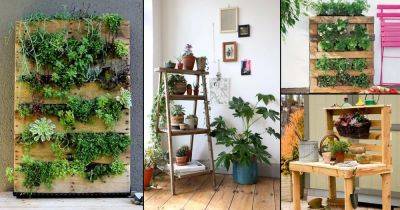 Grow More Plants Indoors | 20 Best DIY Vertical Pallet Garden Ideas - balconygardenweb.com