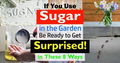8 Surprising Sugar Uses In The Garden You Don't Believe Are Possible - balconygardenweb.com