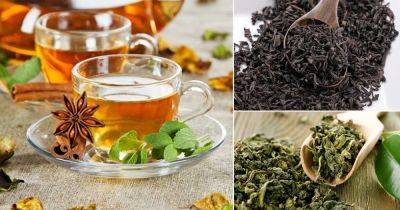 Types of Tea Leaves | Varieties of Tea Leaves - balconygardenweb.com - China - India - Japan