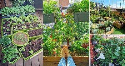 30 Balcony Vegetable Garden Ideas of Instagram - balconygardenweb.com