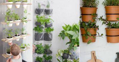 15 DIY Hanging Indoor Herb Gardens | Step by Step Tutorial - balconygardenweb.com