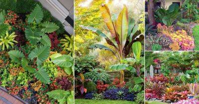 25 Crazy Tropical Garden Bed Ideas You'd Like to Copy - balconygardenweb.com