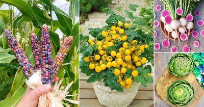 20 Ornamental Vegetables That Look Good - balconygardenweb.com - Switzerland