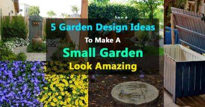 5 Garden Design Ideas To Make A Small Garden Look Amazing - balconygardenweb.com