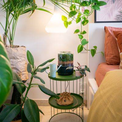 The power of plants with the Briiv Air Filter - urbanjunglebloggers.com