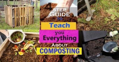 Learn Composting With This 4 Step Informative Composting Guide - balconygardenweb.com