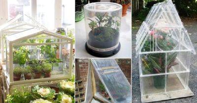 19 Easy DIY Mini Greenhouse Ideas | Creative Homemade Greenhouses - balconygardenweb.com
