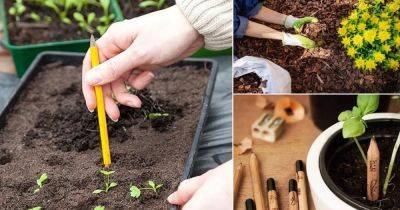 7 Amazing Pencil Uses in the Garden - balconygardenweb.com