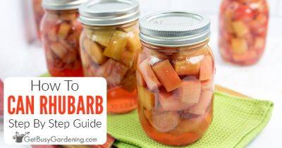 How To Can Rhubarb At Home - getbusygardening.com