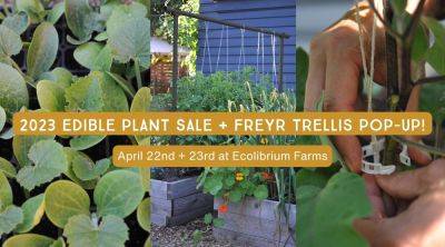 SUFCo x Ecolibrium Farm Plant Sale - April 22nd & 23rd, 2023 - seattleurbanfarmco.com - city Seattle